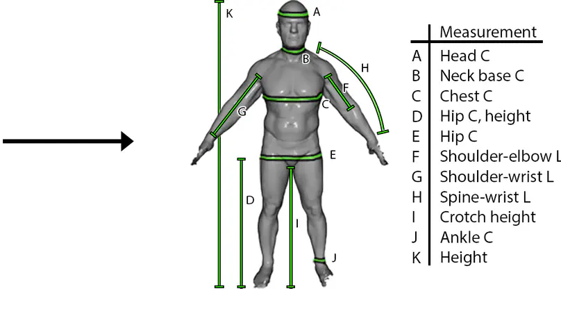 Direct 3D Body Measurement Estimation from Sparse Landmarks