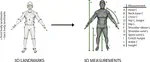 Direct 3D Body Measurement Estimation from Sparse Landmarks