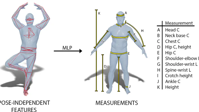 Pose-independent 3D Anthropometry from Sparse Data